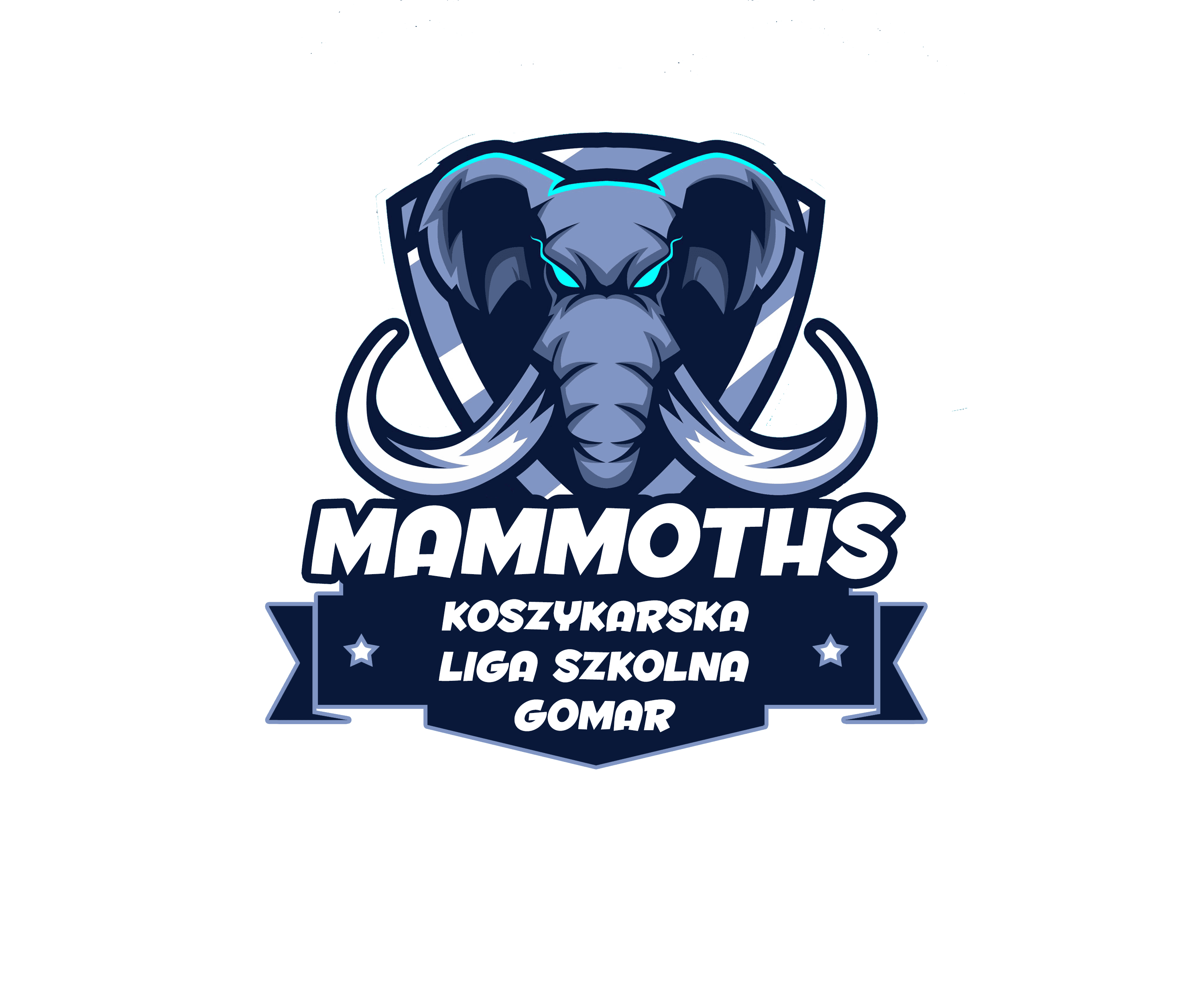 [Kraków] Szkoła Podstawowa nr 65 5-6 chłopcy