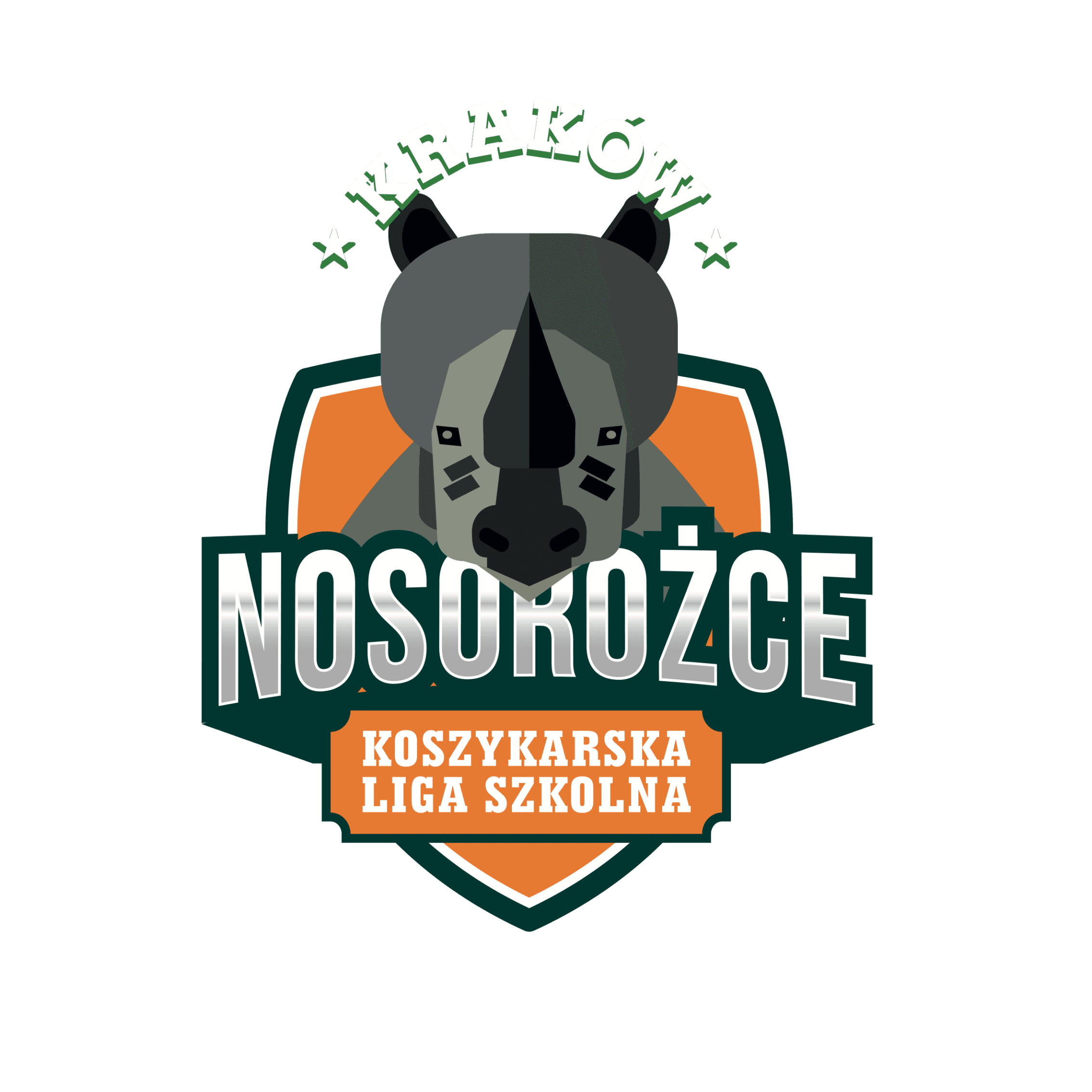 [Kraków] Szkoła Podstawowa nr 29