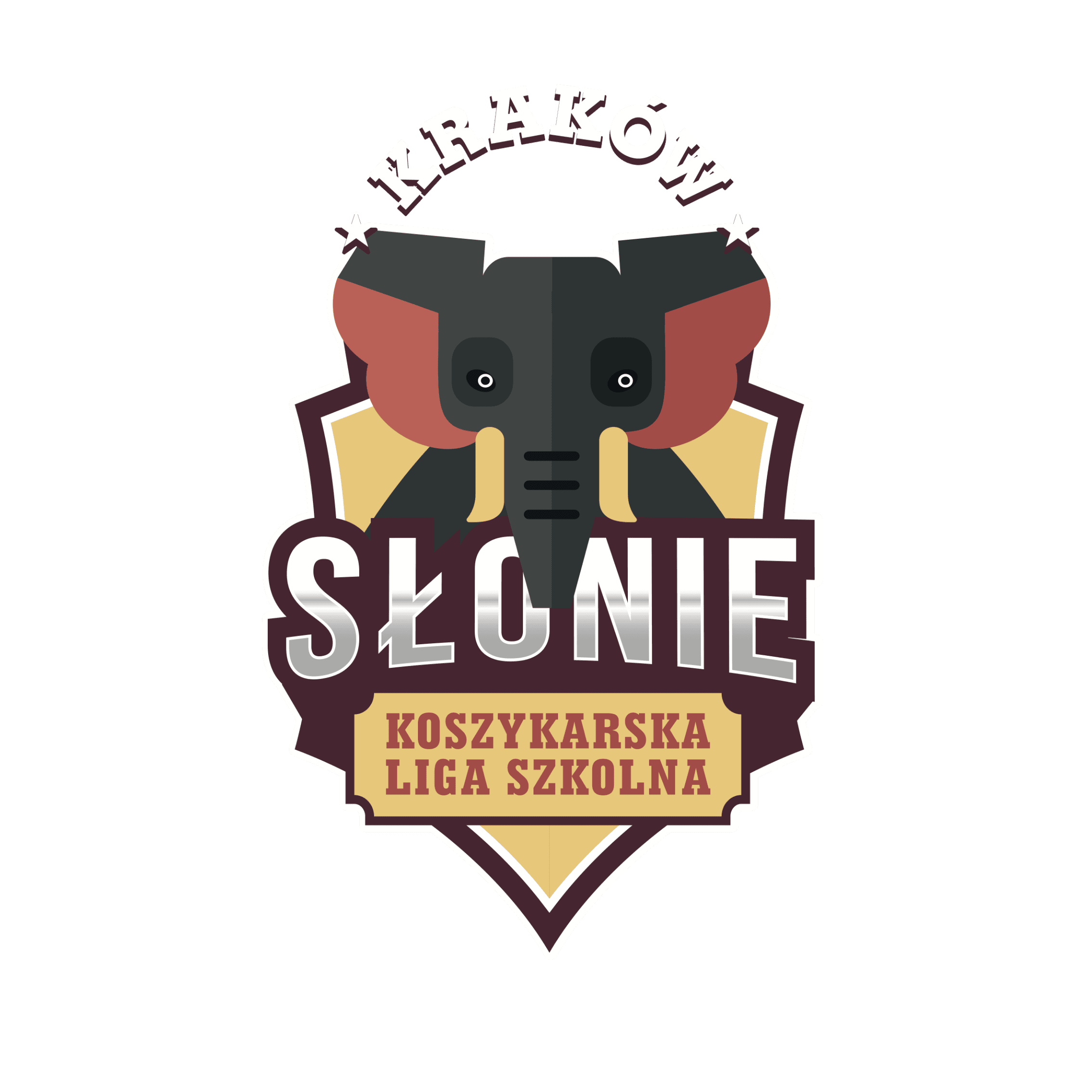 [Kraków] SP 5 Bochnia KL 3